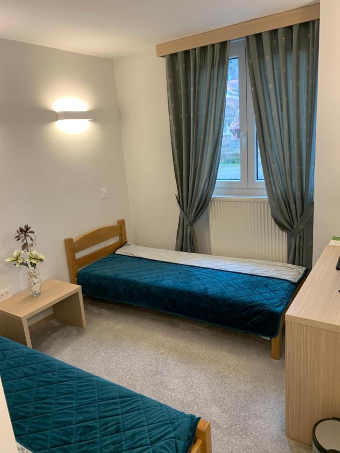 Garni Hotel Vir Vrnjačka Banja エクステリア 写真
