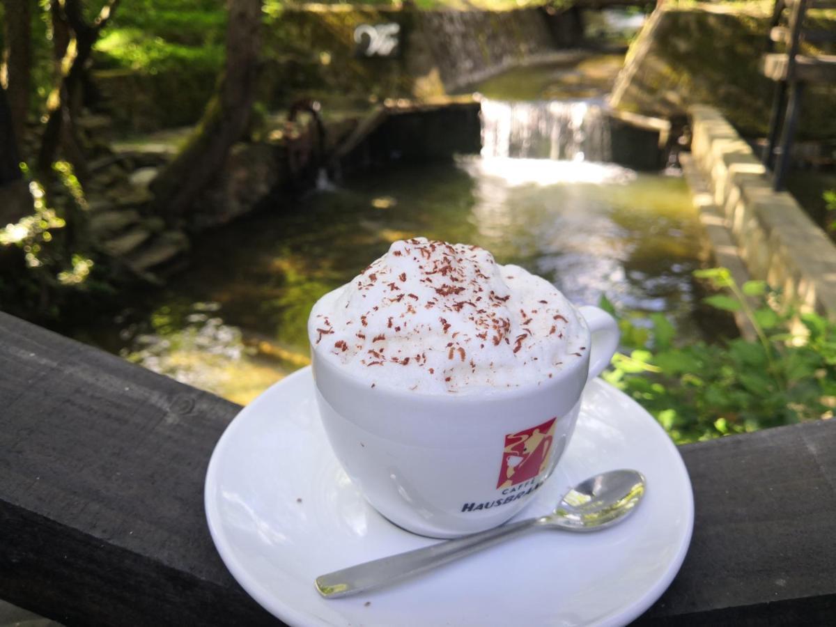Garni Hotel Vir Vrnjačka Banja エクステリア 写真